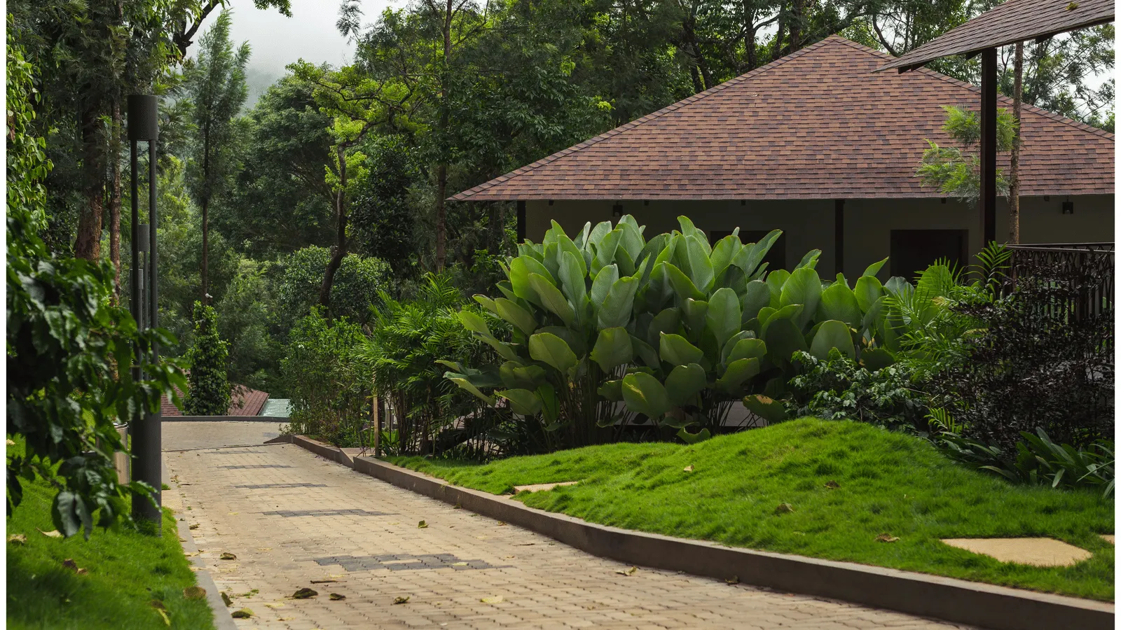 Coffee plantation vista in Chikmagalur, the birthplace of Indian coffee